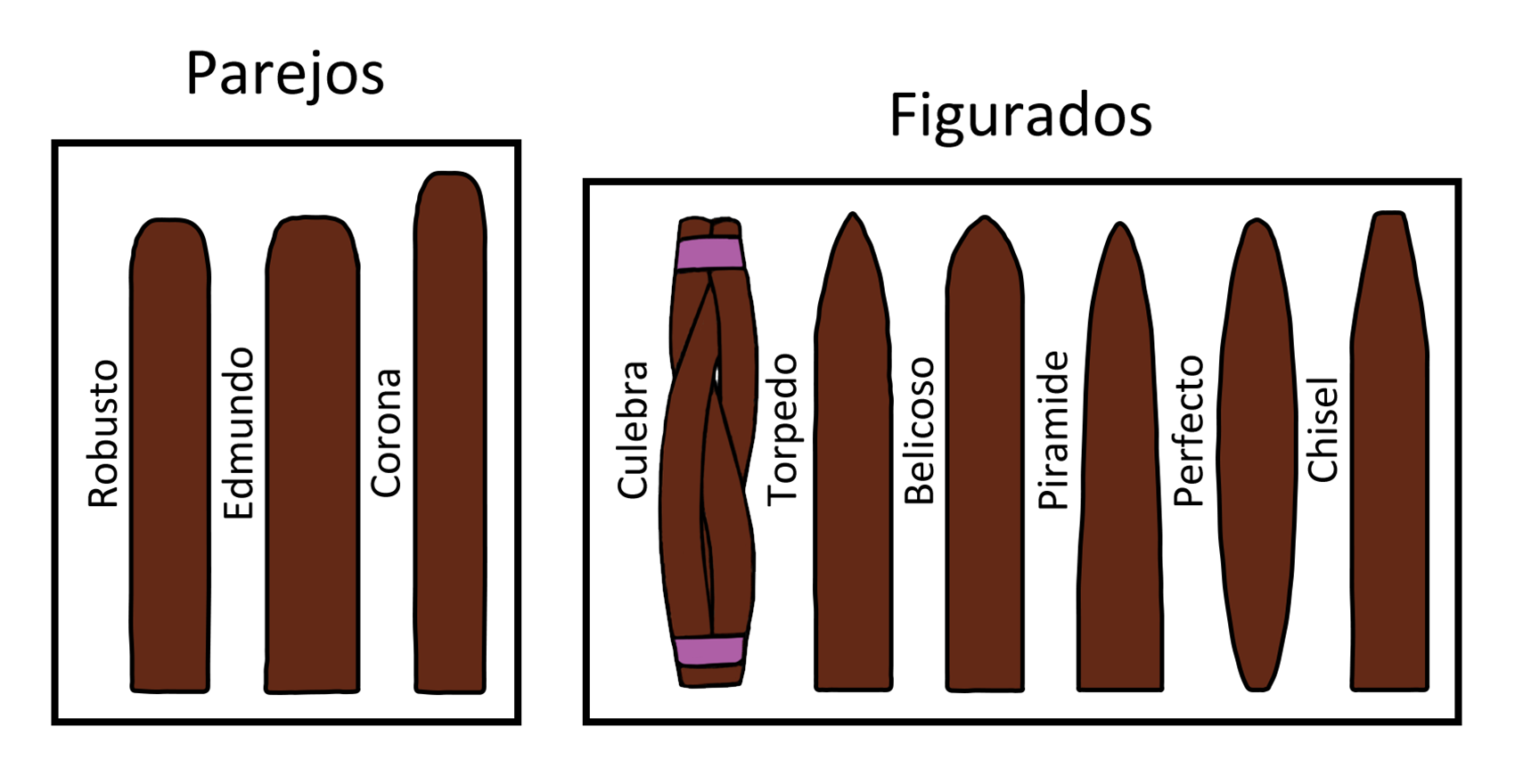 Size, Shape & Color