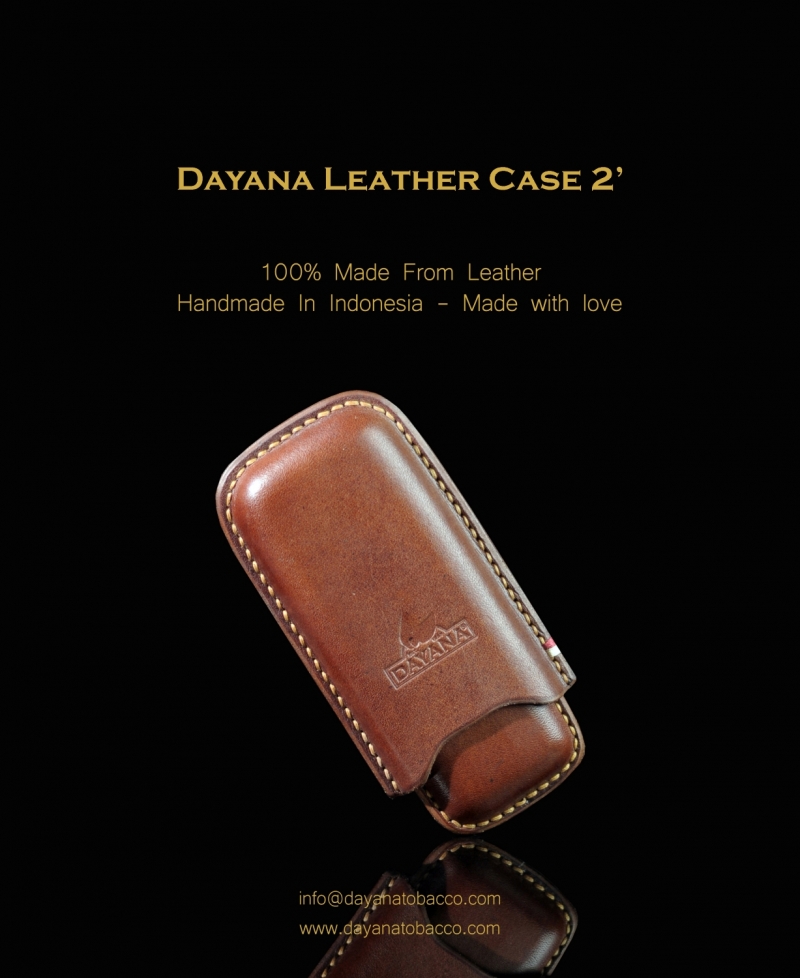 Leather Case 2 Brown