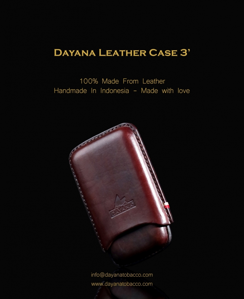 Leather Case 3 Dark Brown