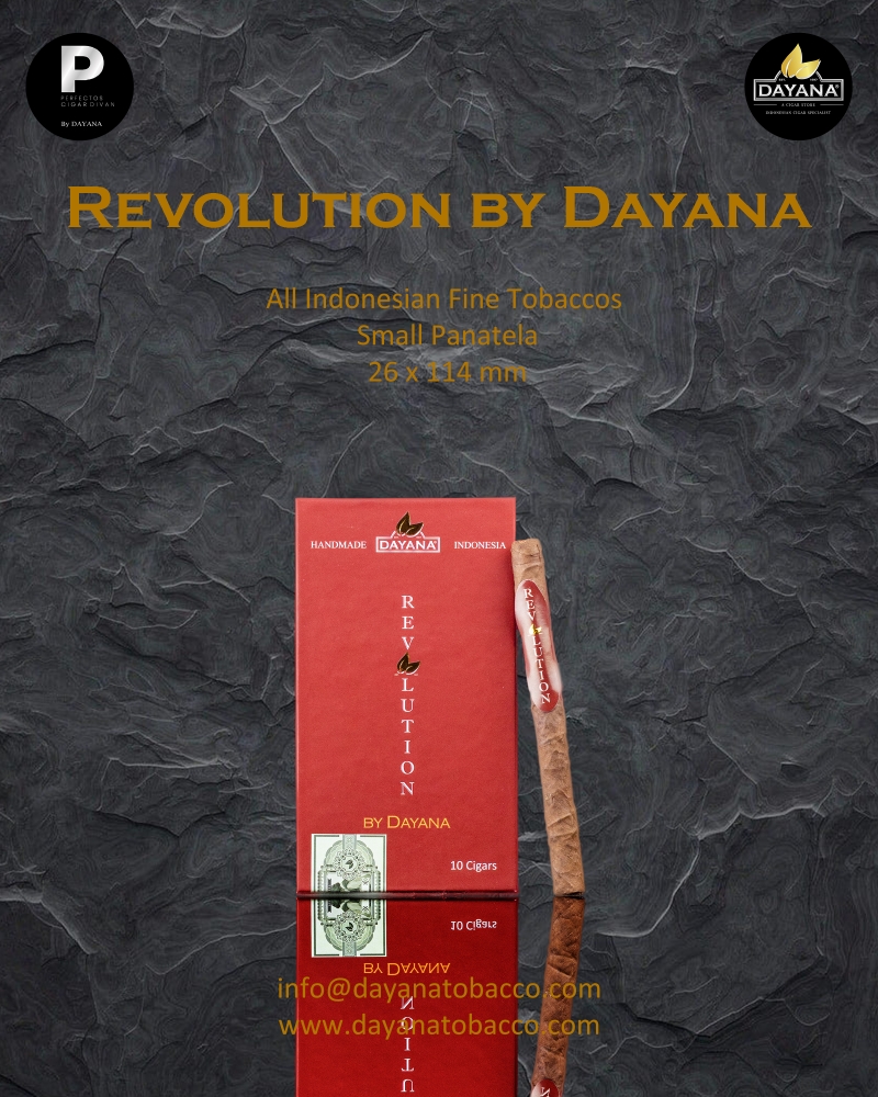 Revolution by Dayana