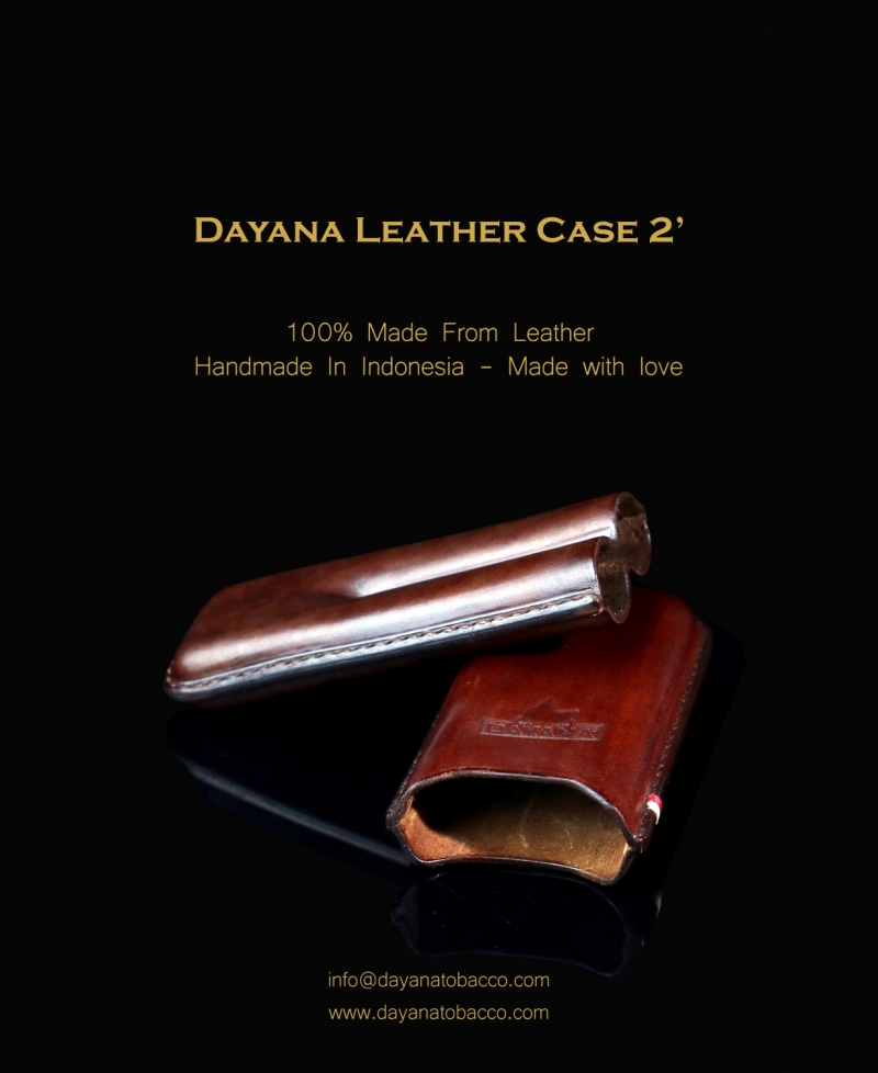 Leather Case 2 Dark Brown