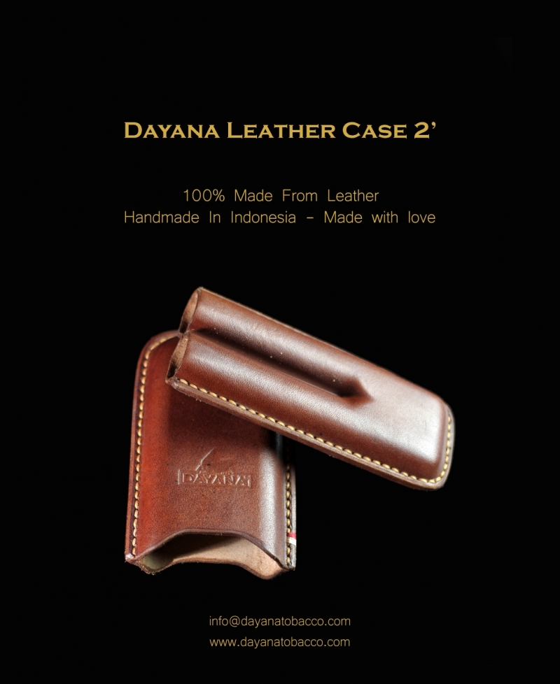 Leather Case 2 Brown