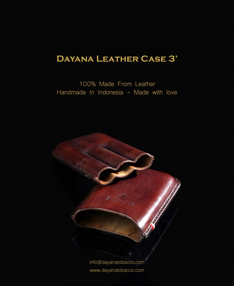 Leather Case 3 Dark Brown
