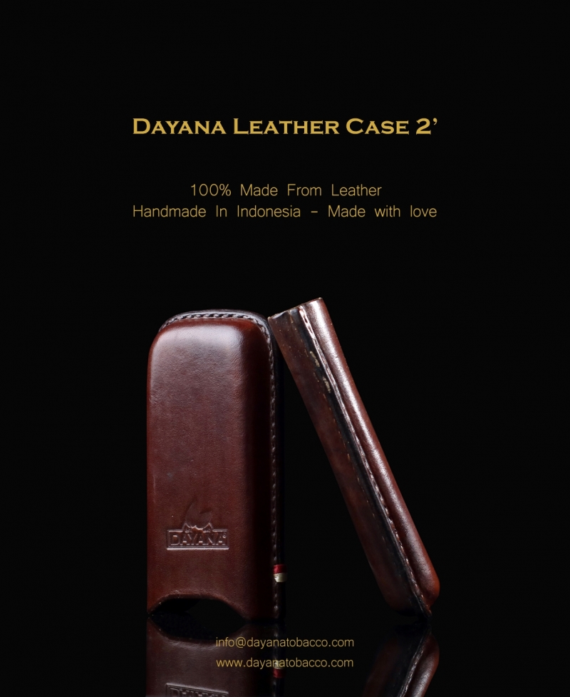 Leather Case 2 Dark Brown