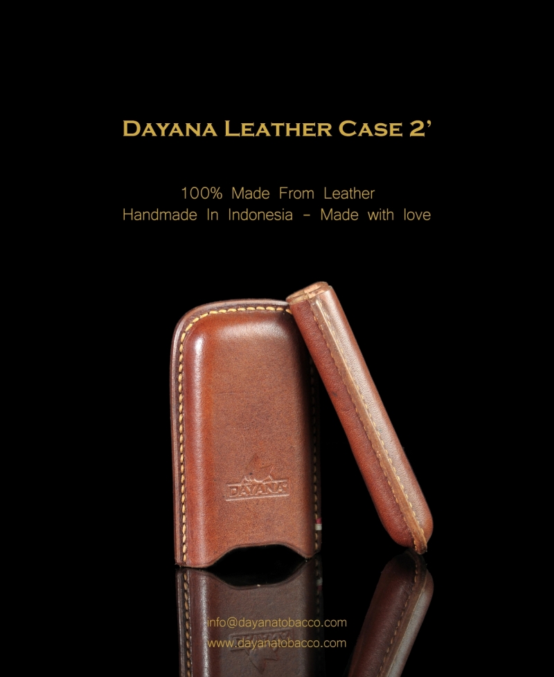 Leather Case 2 Brown