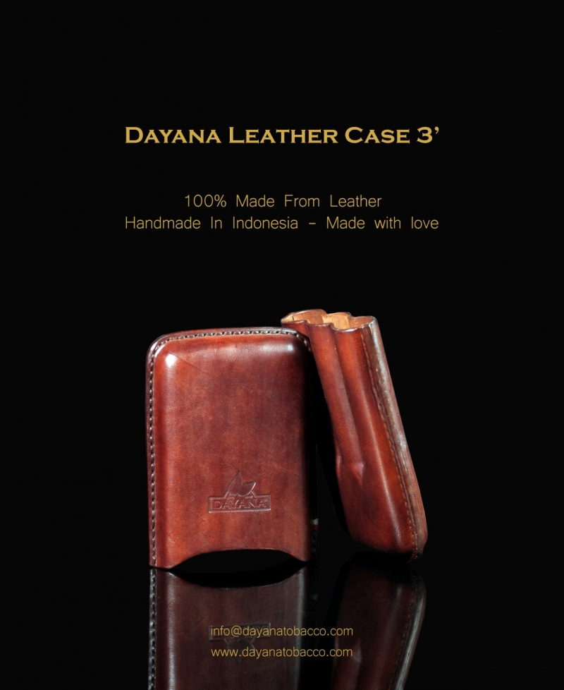 Leather Case 3 Brown
