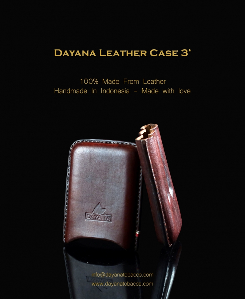 Leather Case 3 Dark Brown
