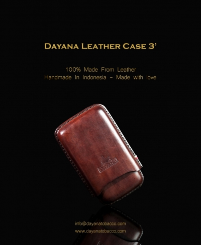 Leather Case 3 Brown